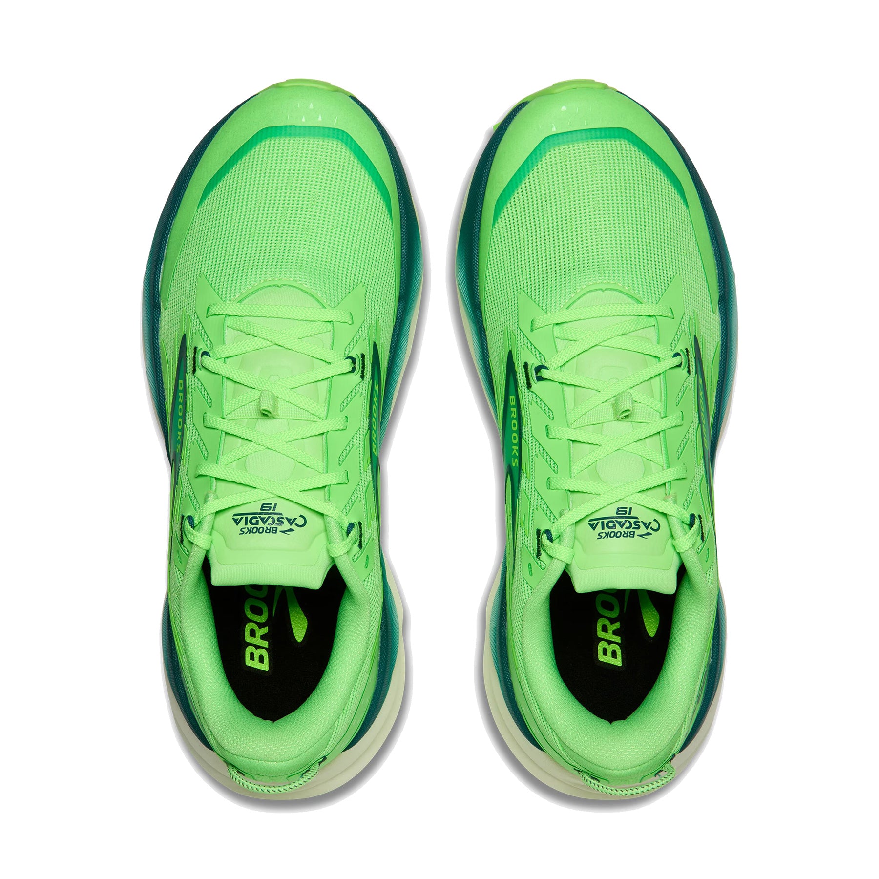 Cascadia 19