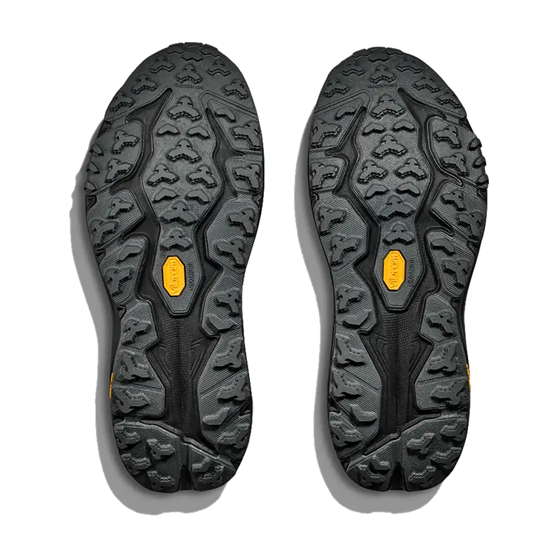 Speedgoat 6 Gtx