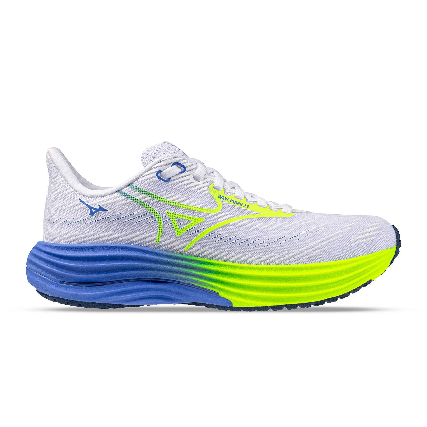 Wave Rider 29