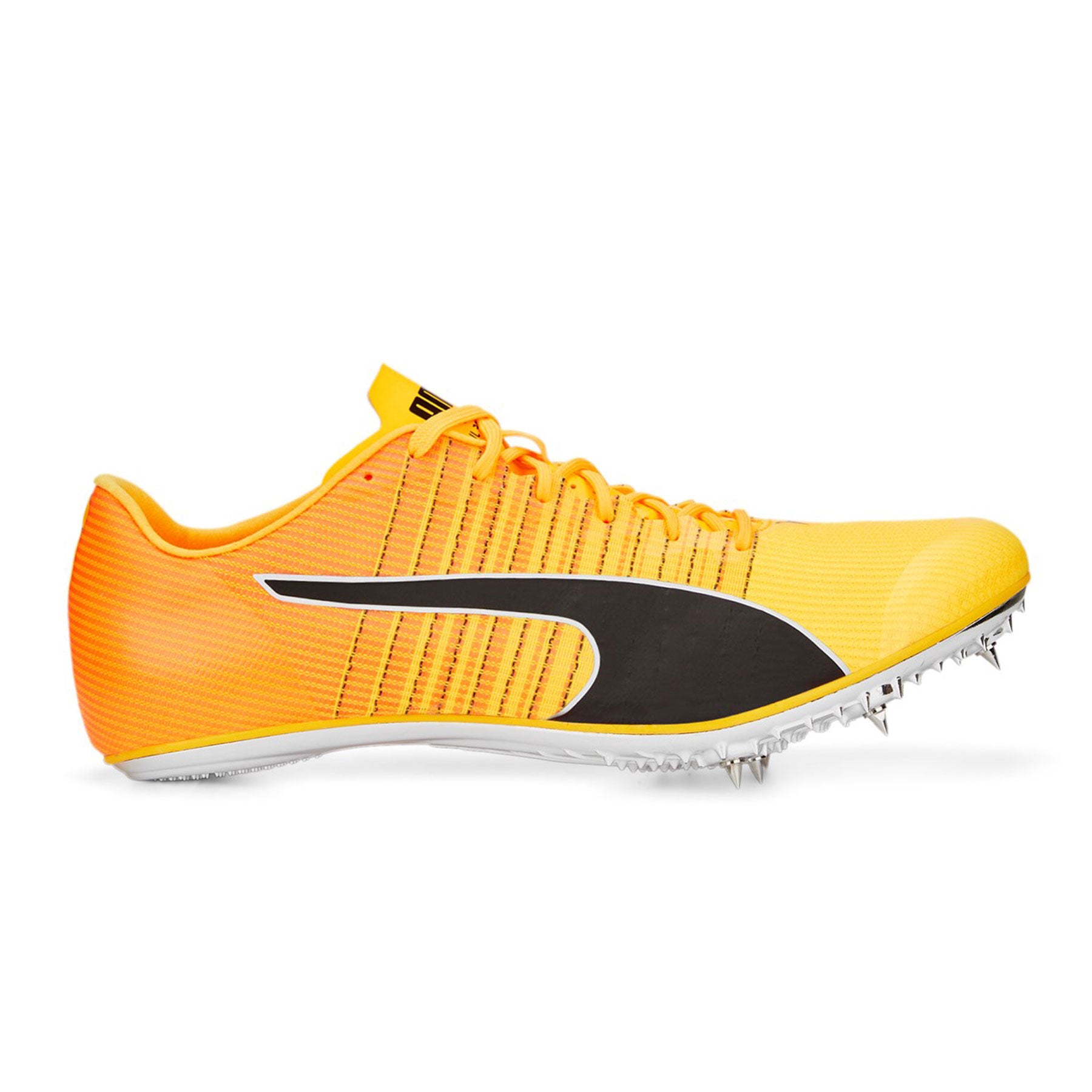Evospeed Tokyo Brush 4