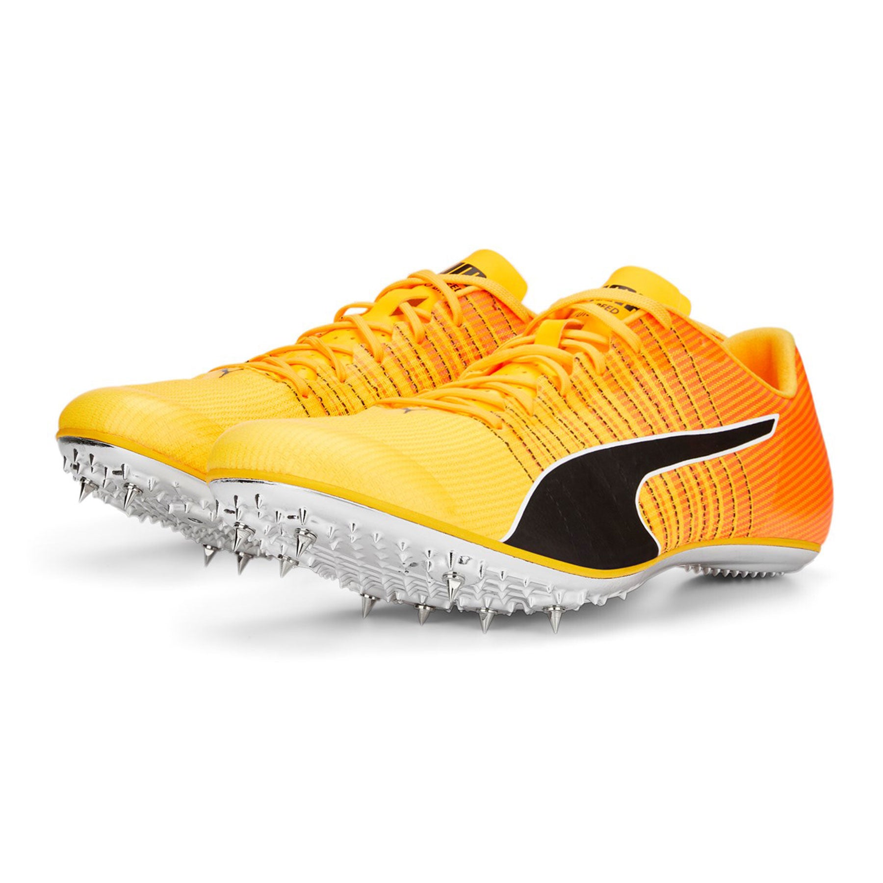 Evospeed Tokyo Brush 4