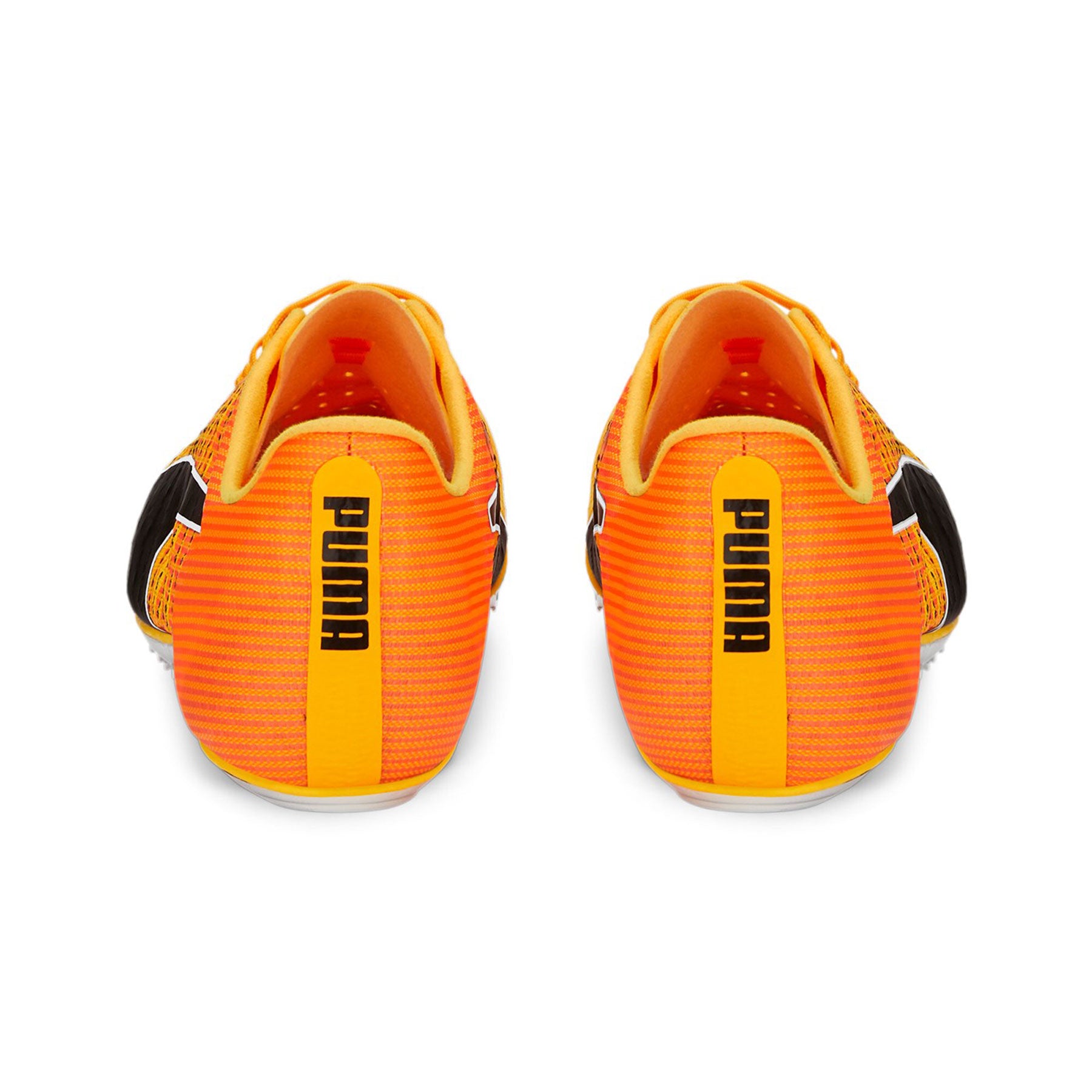 Evospeed Tokyo Brush 4
