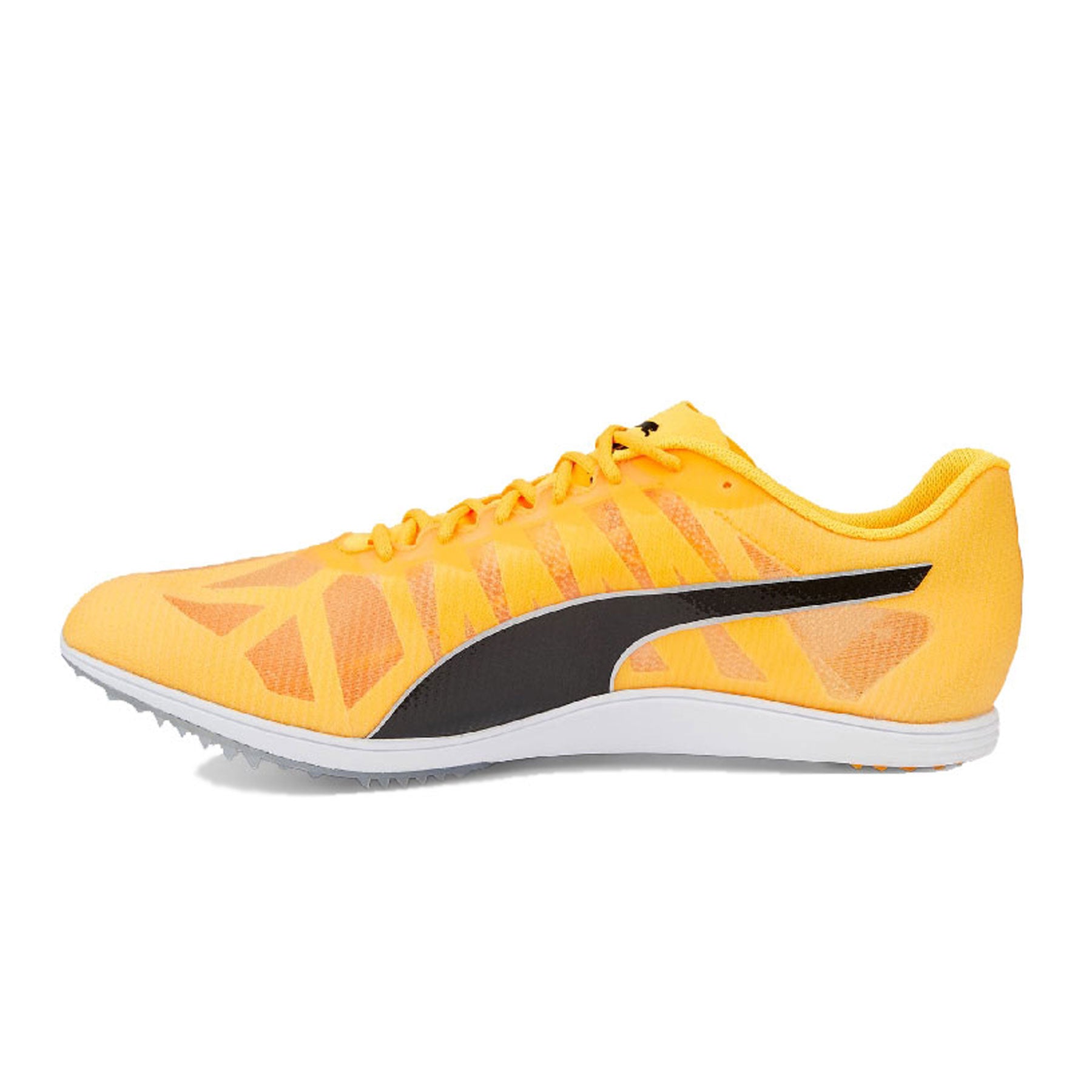 Evospeed Mid-Distance 4