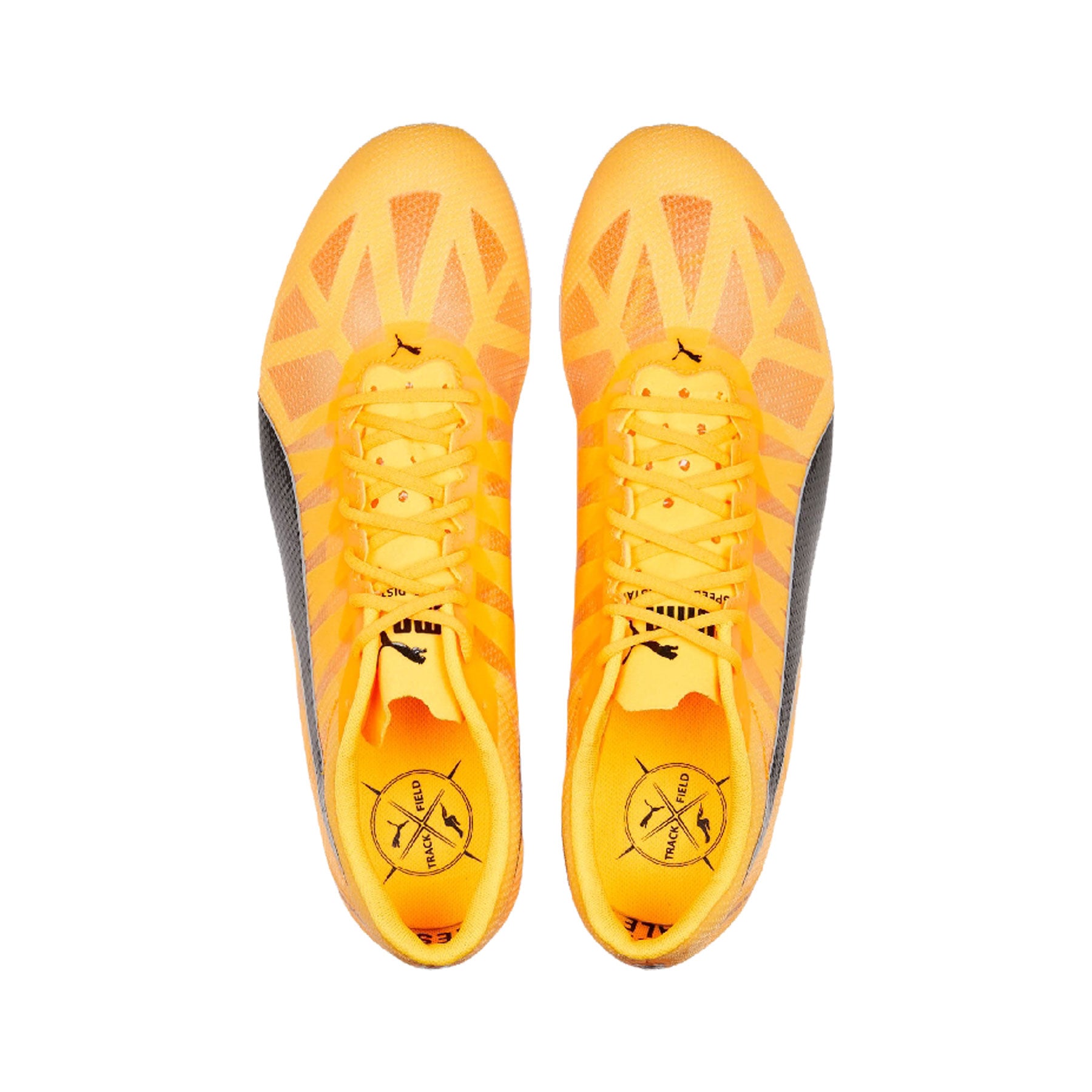 Evospeed Mid-Distance 4