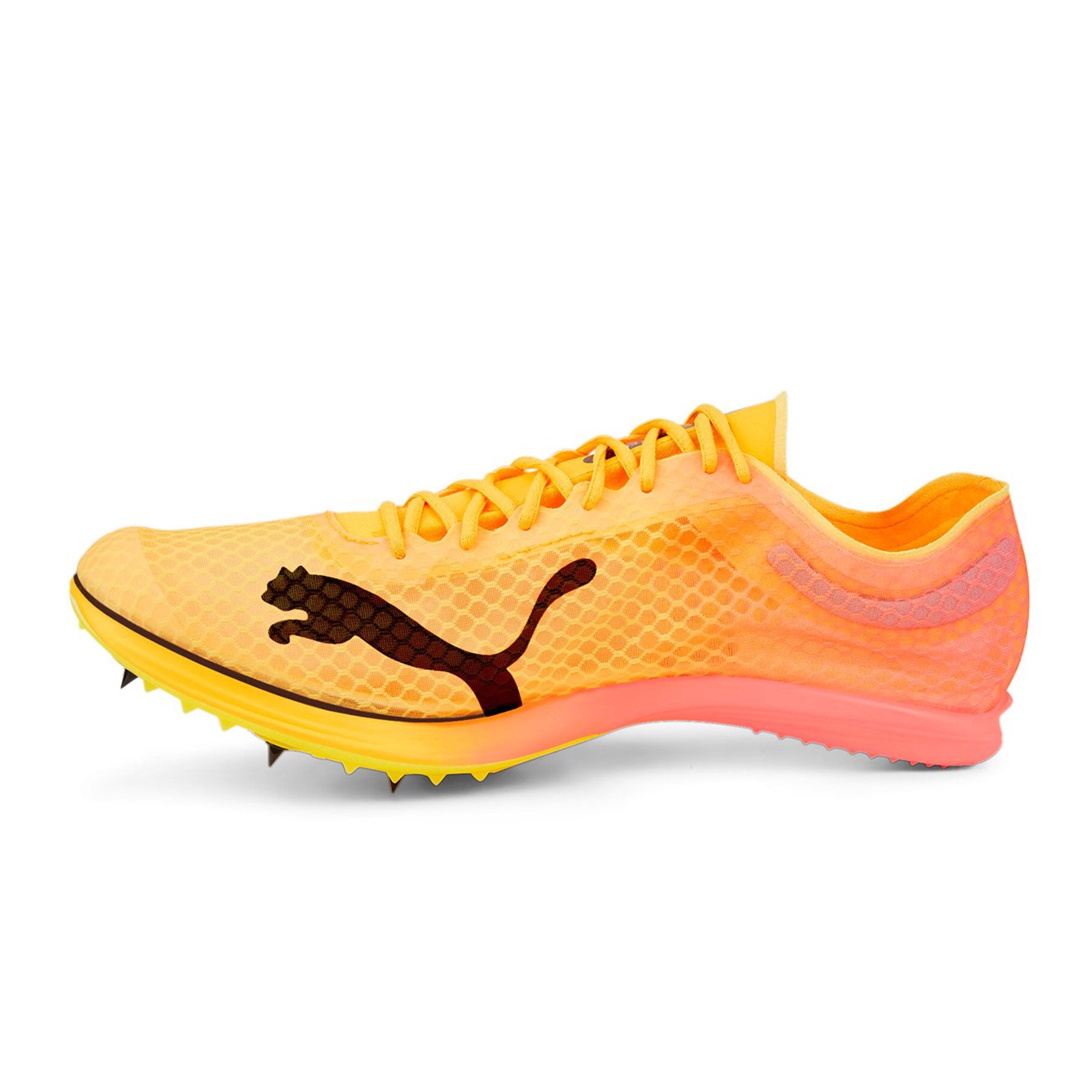 Evospeed Distance Nitro Elite+ 2