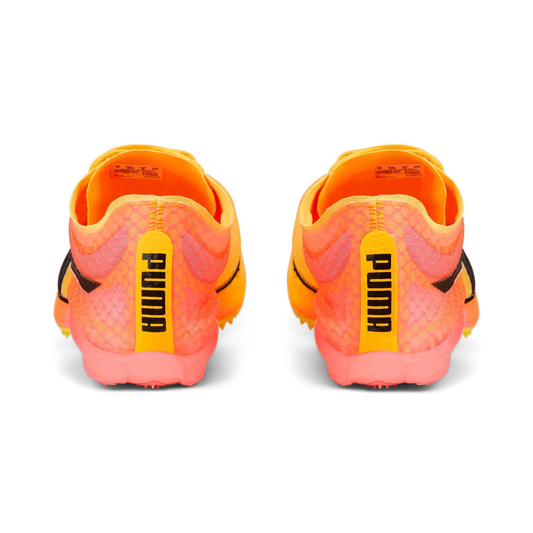 Evospeed Distance Nitro Elite+ 2