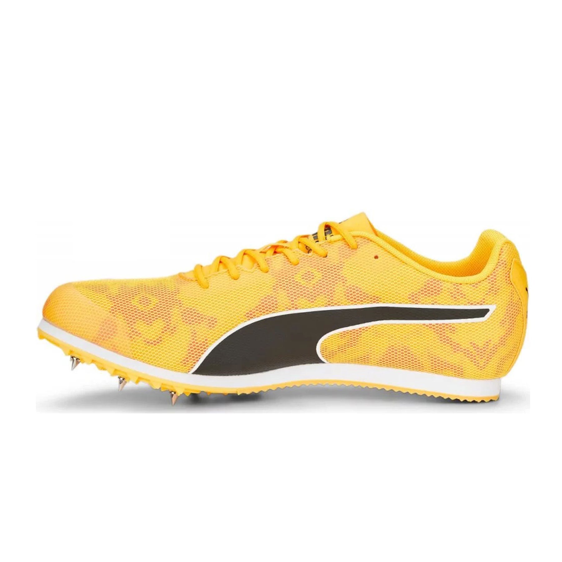 Evospeed Star 8