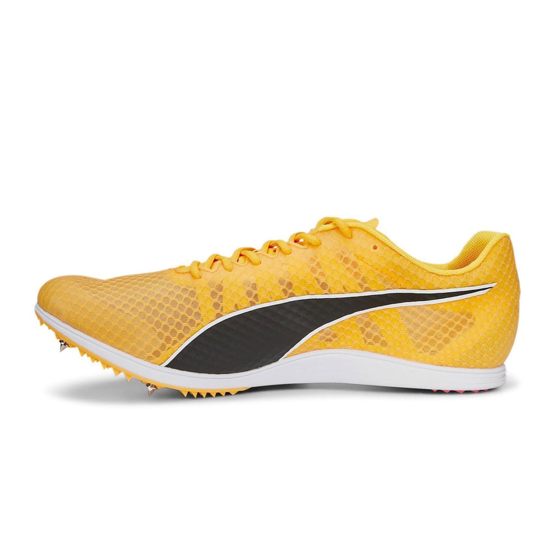 Evospeed Distance 11