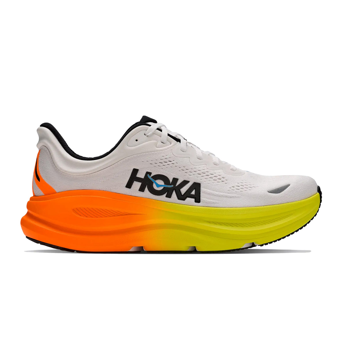Bondi 9