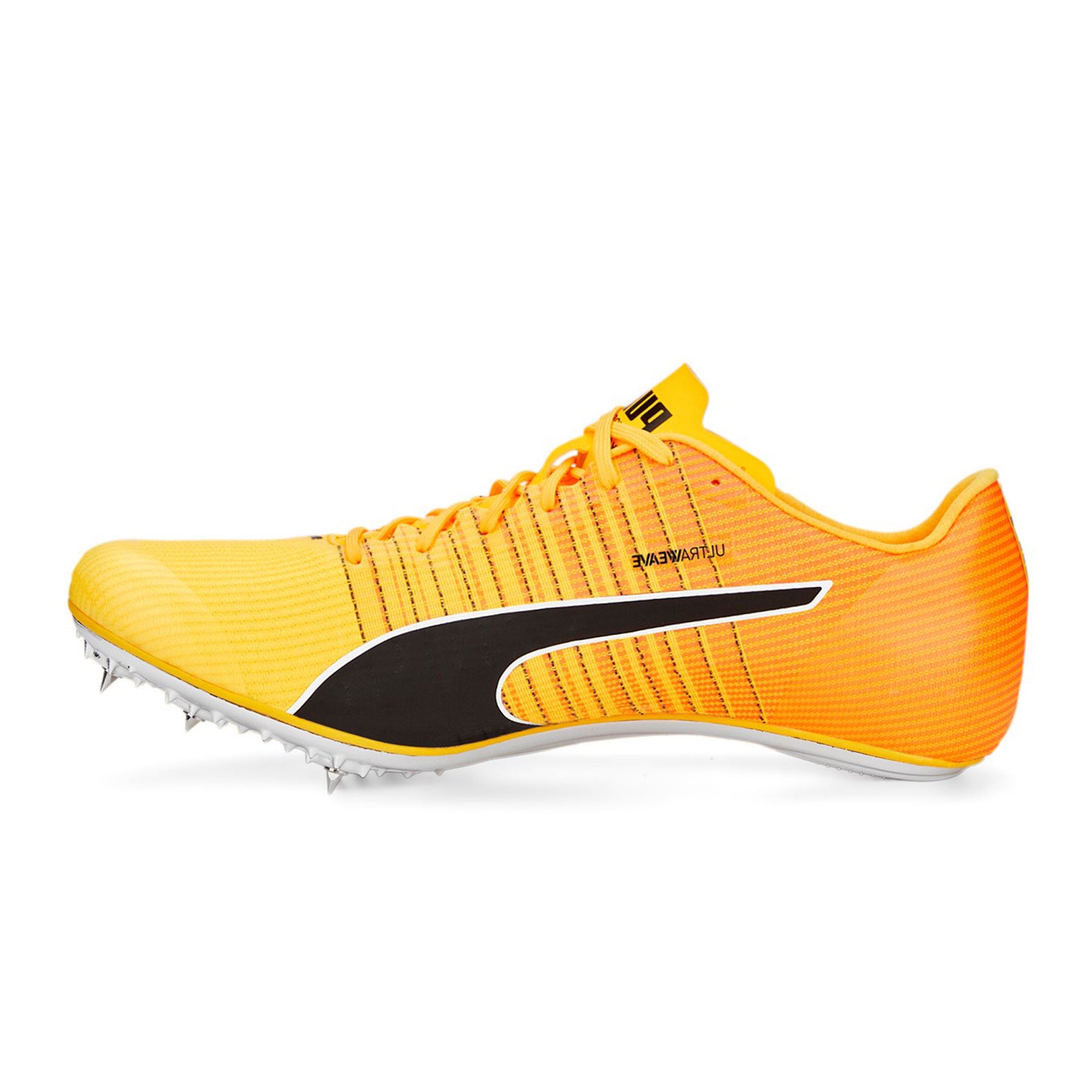 Evospeed Tokyo Brush 4