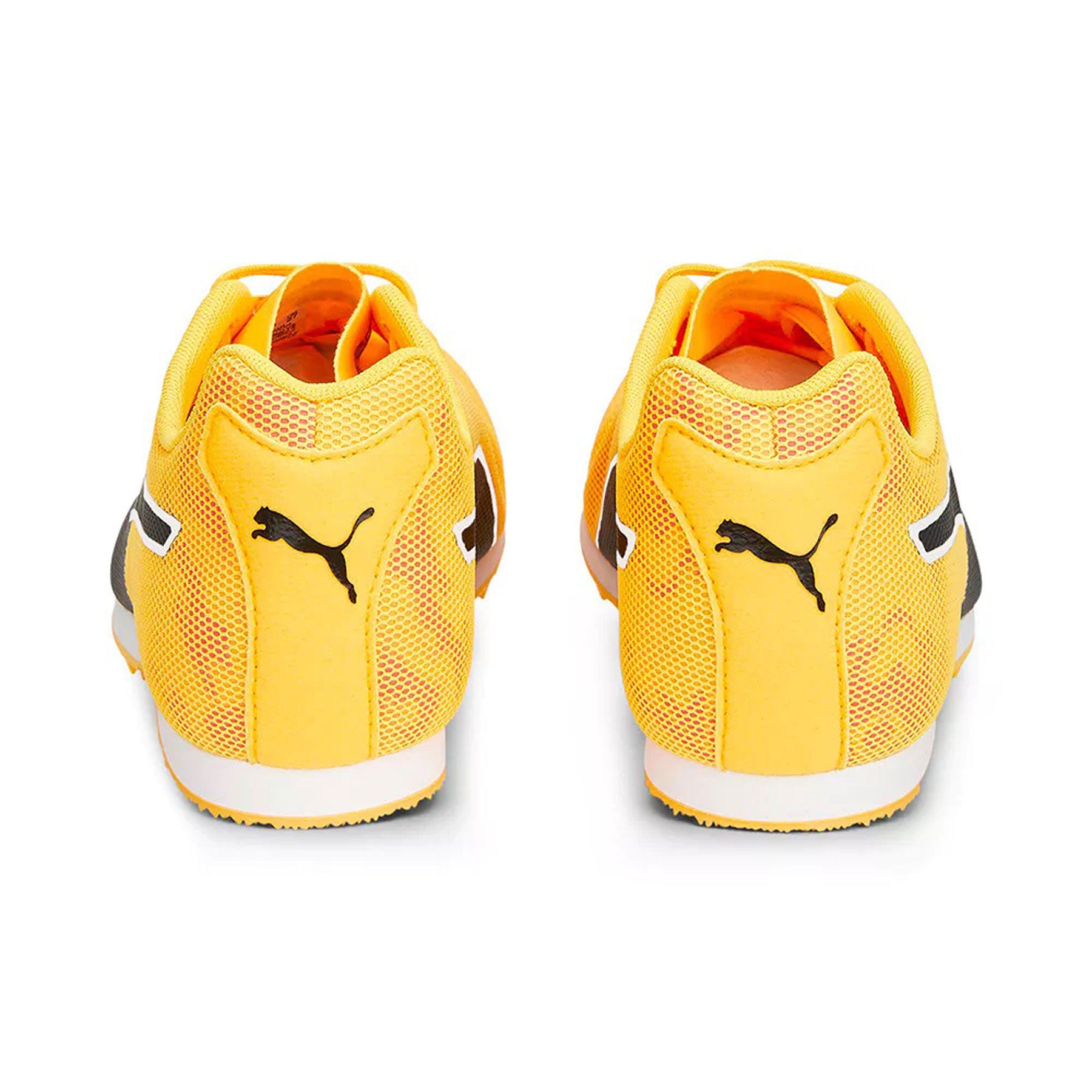 Evospeed Star 8
