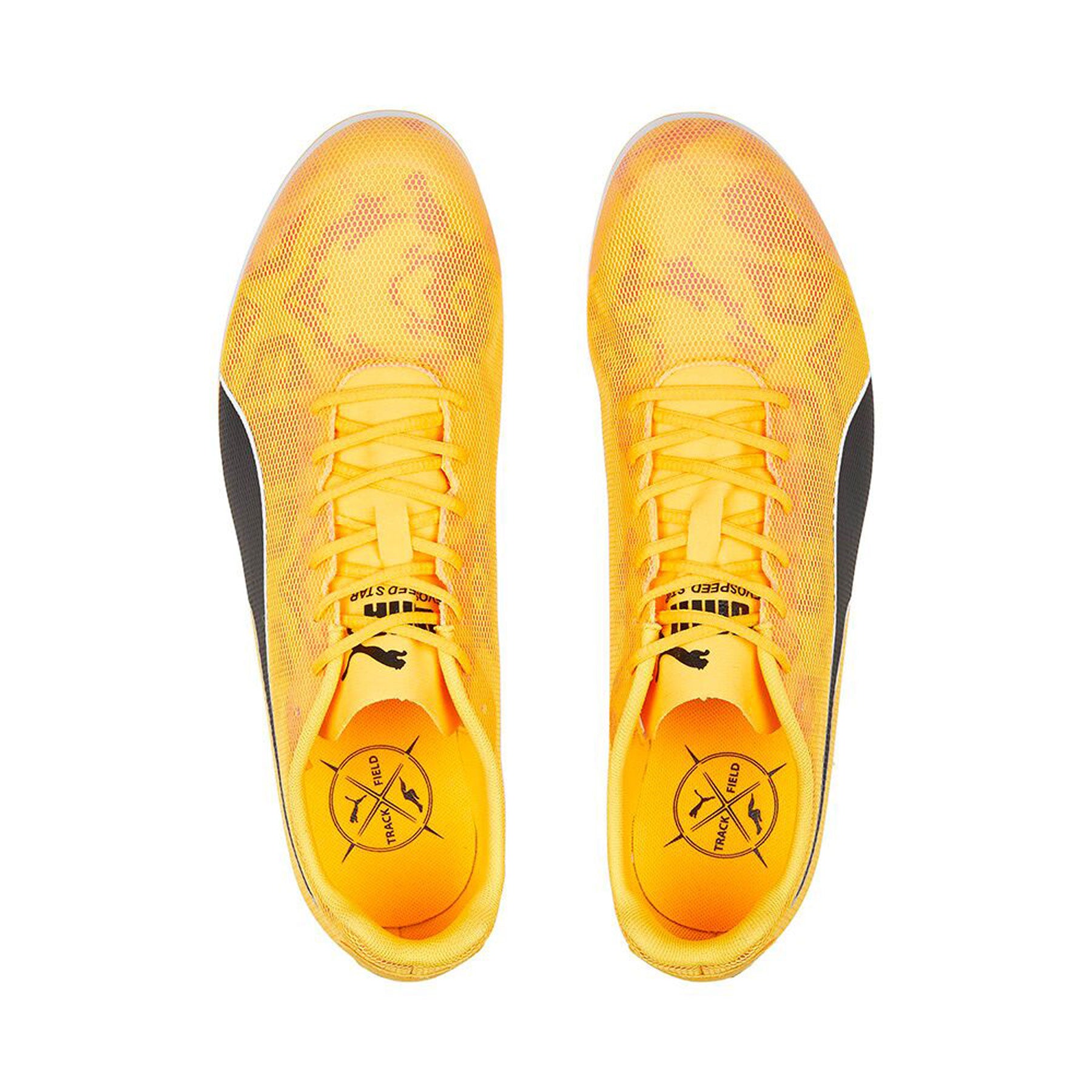 Evospeed Star 8